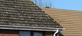 Gutter and roof cleaning in Dartford and Hextable